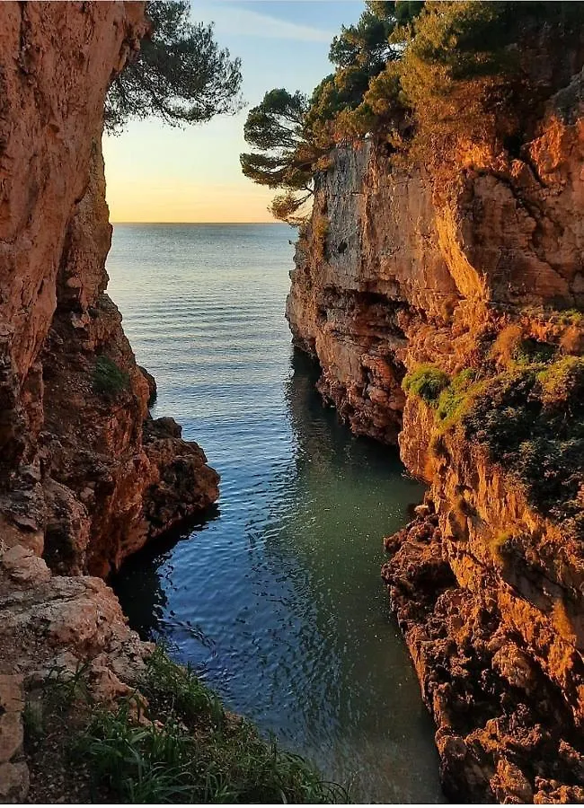 Tobys Place Pula
